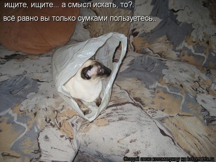 ищите, ищите... а смысл искать, то?. всё равно вы только сумками пользуетесь..... Котоматрица: ищите, ищите... а смысл искать, то?. всё равно вы только сумками пользуетесь..