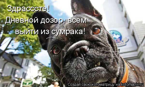 Здрасссте! Дневной дозор, всем выйти из сумрака!... Котоматрица: Здрасссте! Дневной дозор, всем выйти из сумрака!