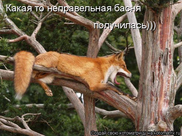 Котоматрица: Какая то неправельная басня получилась)))