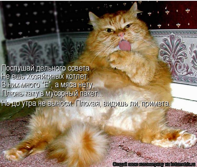 Послушай дельного совета Не ешь хозяйкиных котлет, В них много "Е", а мяса нету, Плюнь каку в мусорны... Котоматрица: Послушай дельного совета Не ешь хозяйкиных котлет, В них много "Е", а мяса нету, Плюнь каку в мусорный пакет... Но до утра не выноси. Плохая, вид