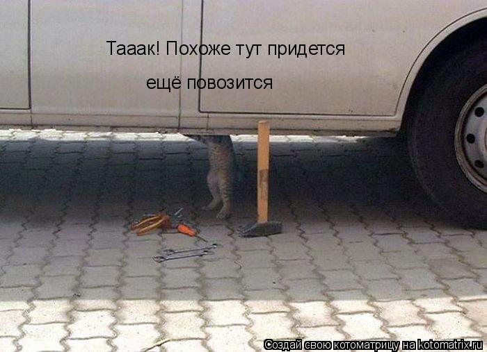 Тааак! Похоже тут придется ещё повозится... Котоматрица: Тааак! Похоже тут придется ещё повозится