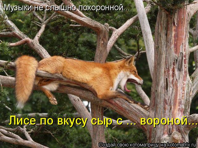 Музыки не слышно похоронной... Лисе по вкусу сыр с ... вороной...... Котоматрица: Музыки не слышно похоронной... Лисе по вкусу сыр с ... вороной...