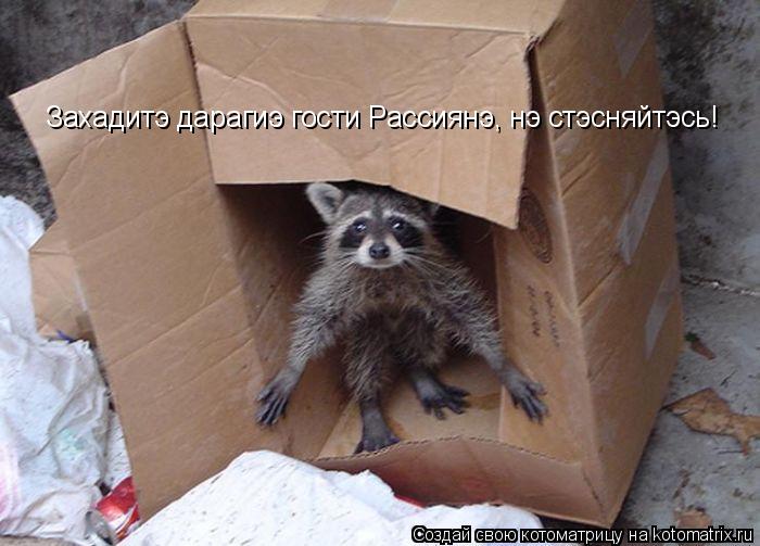 Захадитэ дарагиэ гости Рассиянэ, нэ стэсняйтэсь!... Котоматрица: Захадитэ дарагиэ гости Рассиянэ, нэ стэсняйтэсь!