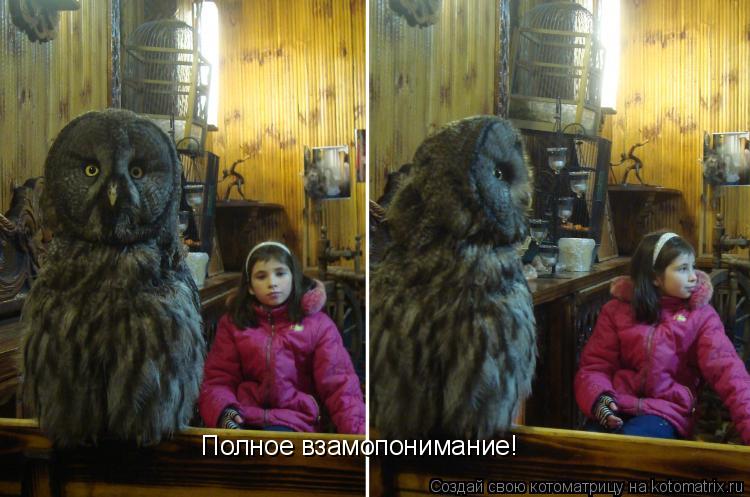 Полное взамопонимание!... Котоматрица: Полное взамопонимание!