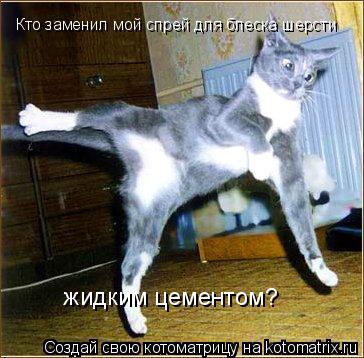 Кто заменил мой спрей для блеска шерсти жидким цементом?... Котоматрица: Кто заменил мой спрей для блеска шерсти жидким цементом?