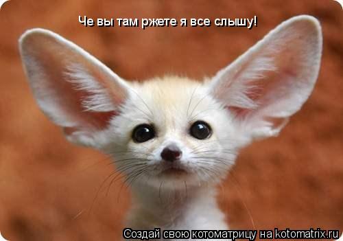 Че вы там ржете я все слышу!... Котоматрица: Че вы там ржете я все слышу!