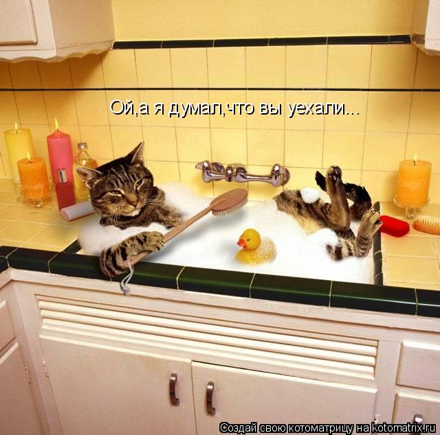 Котоматрица: Ой,а я думал,что вы уехали...