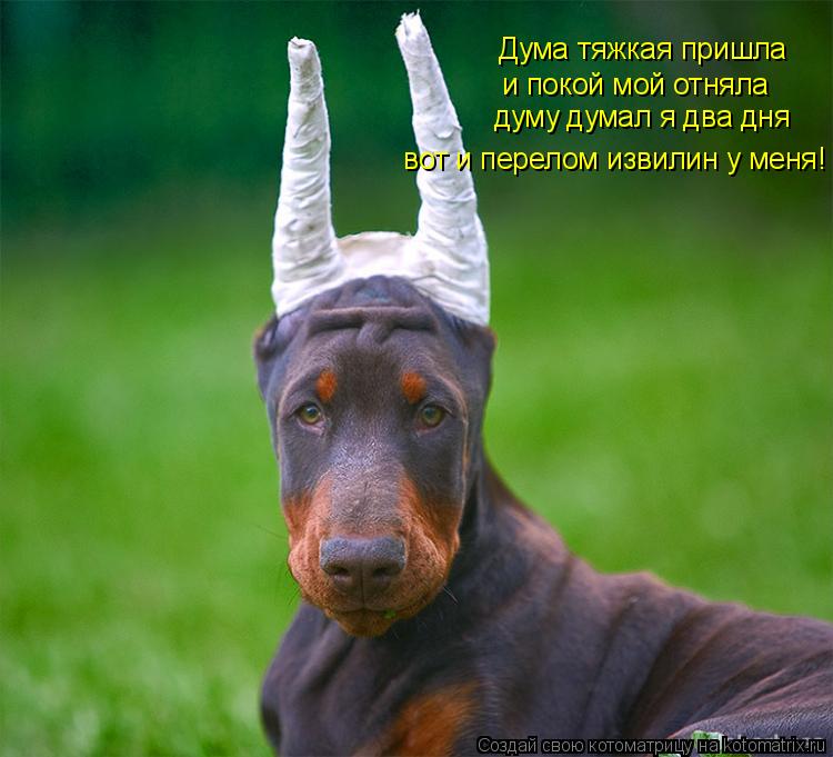 Котоматрица: Дума тяжкая пришла и покой мой отняла думу думал я два дня  вот и перелом извилин у меня!
