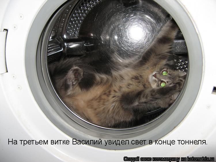 Котоматрица: На третьем витке Василий увидел свет в конце тоннеля.