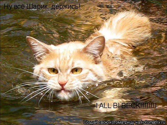 Котоматрица: Ну всё Шарик, держись! I ALL BI BECK!!!!!!!!