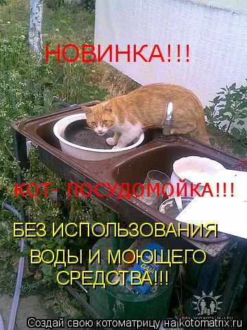 Котоматрица: НОВИНКА!!! КОТ- ПОСУДОМОЙКА!!! БЕЗ ИСПОЛЬЗОВАНИЯ ВОДЫ И МОЮЩЕГО СРЕДСТВА!!!