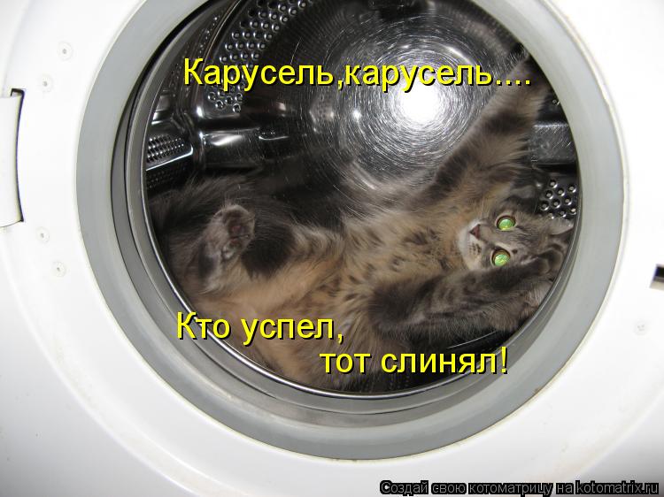 Котоматрица: Карусель,карусель.... Кто успел, тот слинял!