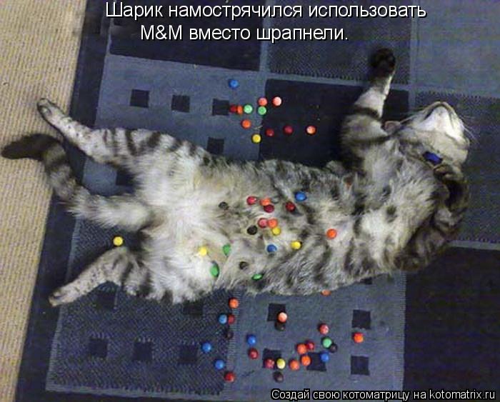 Шарик намострячился использовать М&M вместо шрапнели.... Котоматрица: Шарик намострячился использовать М&M вместо шрапнели.