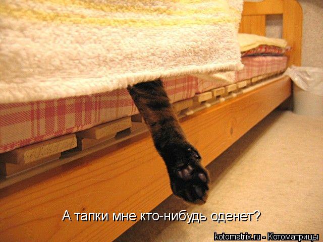 А тапки мне кто-нибудь оденет?... Котоматрица: А тапки мне кто-нибудь оденет?