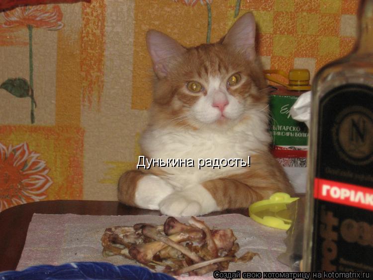 Дунькина радость!... Котоматрица: Дунькина радость!