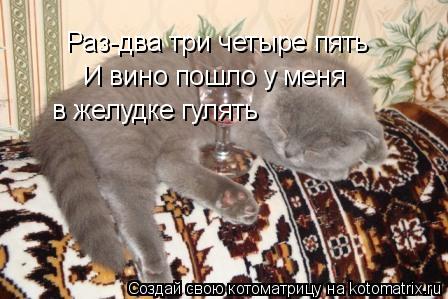 Раз-два три четыре пять И вино пошло у меня в желудке гулять... Котоматрица: Раз-два три четыре пять И вино пошло у меня в желудке гулять