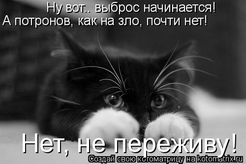 Котоматрица: Ну вот.. выброс начинается! А потронов, как на зло, почти нет! Нет, не переживу!