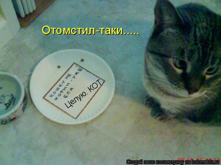 Котоматрица: Целую. КОТ Отомстил-таки.....