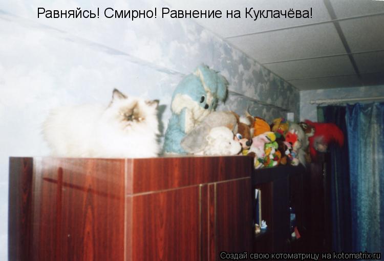 Котоматрица: Равняйсь! Смирно! Равнение на Куклачёва!