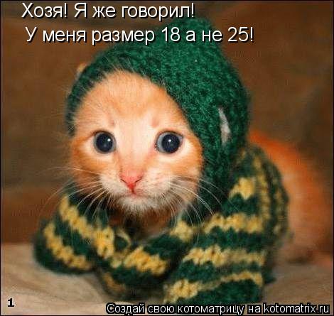 Котоматрица: Хозя Хозя! Я же говорил! У меня размер 18 У меня размер 18 а не 25!