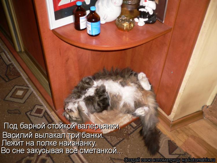 Котоматрица: Под барной стойкой валерьянки, Василий вылакал три банки. Лежит на полке наизнанку, Во сне закусывая все сметанкой...