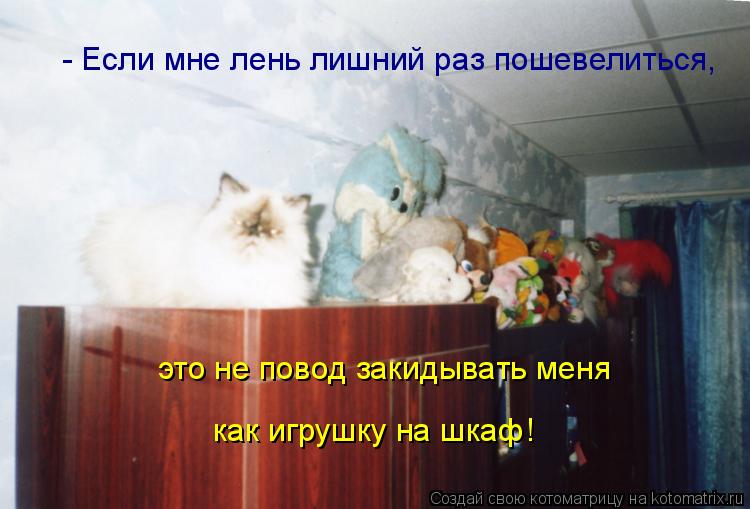 - Если мне лень лишний раз пошевелиться, это не повод закидывать меня как игрушку на шкаф!... Котоматрица: - Если мне лень лишний раз пошевелиться, это не повод закидывать меня как игрушку на шкаф!