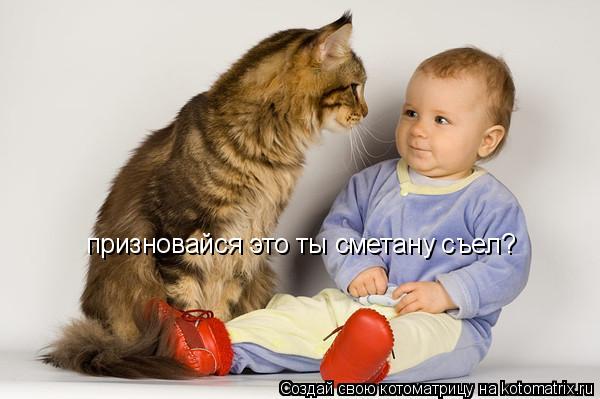 призновайся это ты сметану съел?... Котоматрица: призновайся это ты сметану съел?