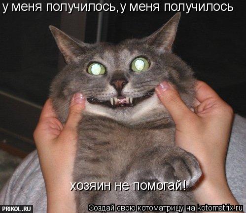 у меня получилось,у меня получилось хозяин не помогай!... Котоматрица: у меня получилось,у меня получилось хозяин не помогай!