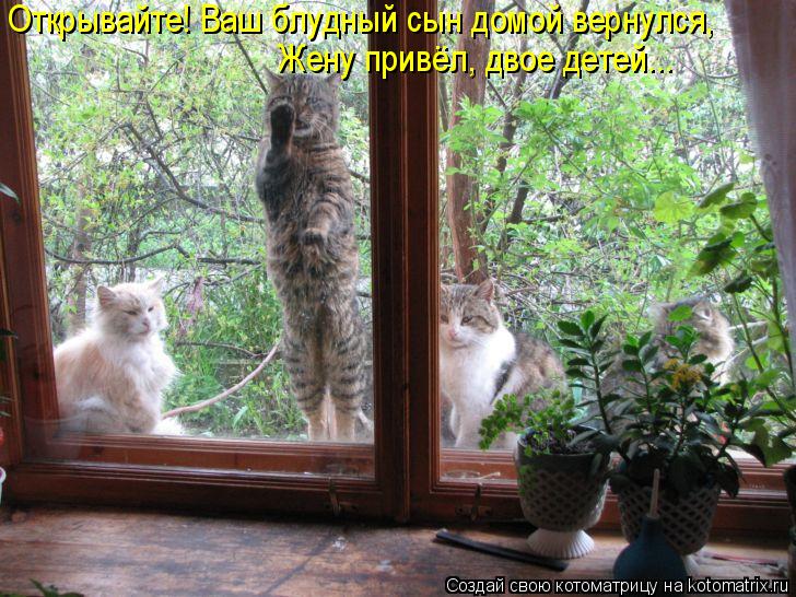 Открывайте! Ваш блудный сын домой вернулся, Жену привёл, двое детей...... Котоматрица: Открывайте! Ваш блудный сын домой вернулся, Жену привёл, двое детей...