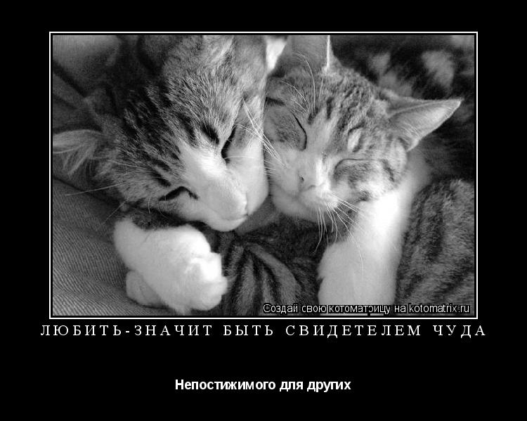 Любить-значит быть свидетелем чуда Непостижимого для других... Котоматрица: Любить-значит быть свидетелем чуда Непостижимого для других