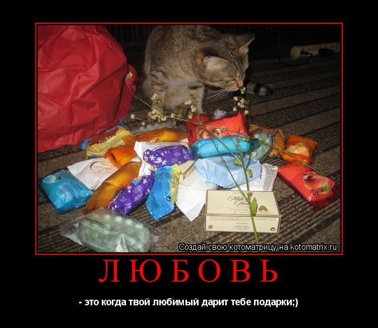 Любовь - это когда твой любимый дарит тебе подарки;)... Котоматрица: Любовь - это когда твой любимый дарит тебе подарки;)