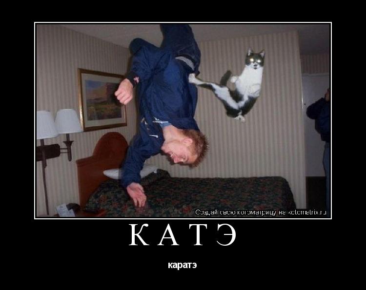 катэ каратэ... Котоматрица: катэ каратэ