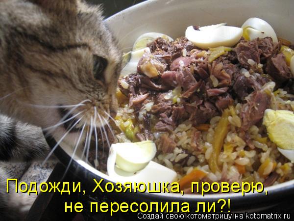 Котоматрица: Подожди, Хозяюшка, проверю, не пересолила ли?!