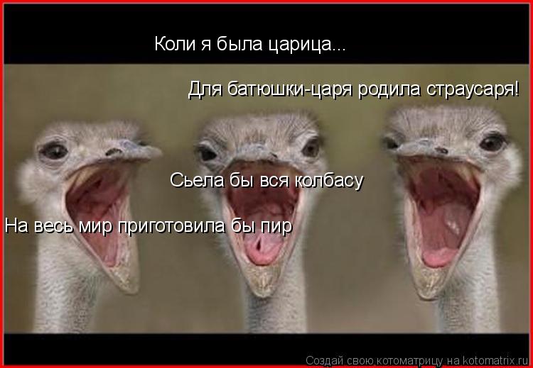 Коли я была царица... На весь мир приготовила бы пир Сьела бы вся колбасу Для батюшки-царя родила стр... Котоматрица: Коли я была царица... На весь мир приготовила бы пир Сьела бы вся колбасу Для батюшки-царя родила страусаря!
