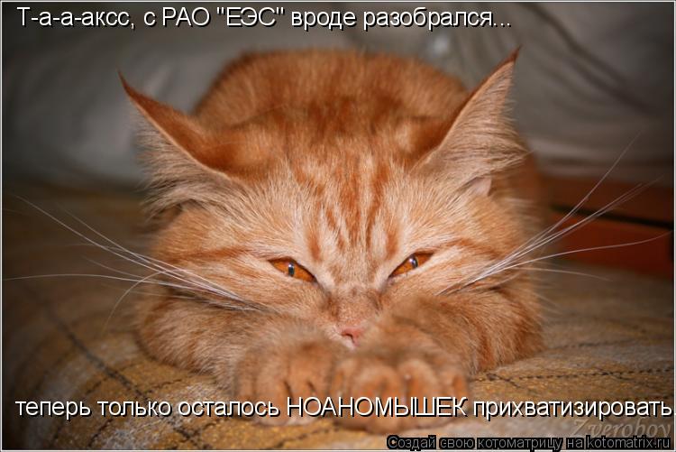 Т-а-а-аксс, с РАО "ЕЭС" вроде разобрался... Т-а-а-аксс, с РАО "ЕЭС" вроде разобрался... теперь только... Котоматрица: Т-а-а-аксс, с РАО "ЕЭС" вроде разобрался... Т-а-а-аксс, с РАО "ЕЭС" вроде разобрался... теперь только осталось НОАНОМЫШЕК прихватизировать....