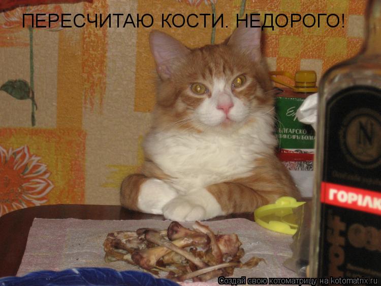Котоматрица: ПЕРЕСЧИТАЮ КОСТИ. НЕДОРОГО!