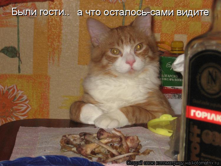 Были гости.. а что осталось-сами видите... Котоматрица: Были гости.. а что осталось-сами видите