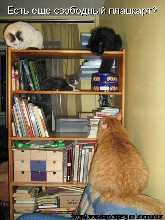 Котоматрица: Есть еще свободный плацкарт?