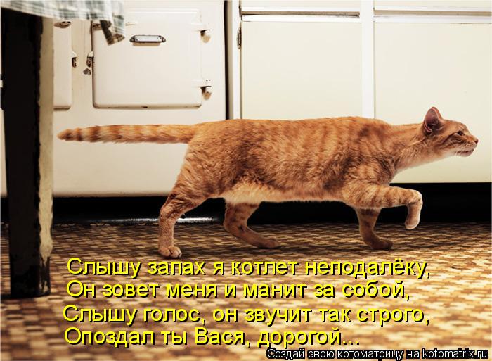 Слышу запах я котлет неподалёку, Он зовет меня и манит за собой, Опоздал ты Вася, дорогой... Слышу го... Котоматрица: Слышу запах я котлет неподалёку, Он зовет меня и манит за собой, Опоздал ты Вася, дорогой... Слышу голос, он звучит так строго,