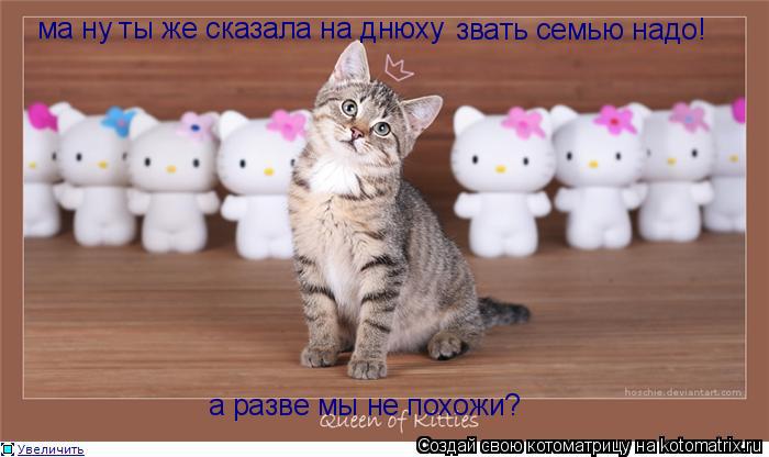 ма ну ты же сказала на днюху звать семью надо! а разве мы не похожи?... Котоматрица: ма ну ты же сказала на днюху звать семью надо! а разве мы не похожи?