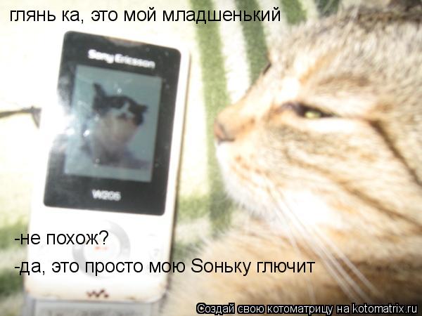 глянь ка, это мой младшенький -не похож? -да, это просто мою Sоньку глючит... Котоматрица: глянь ка, это мой младшенький -не похож? -да, это просто мою Sоньку глючит