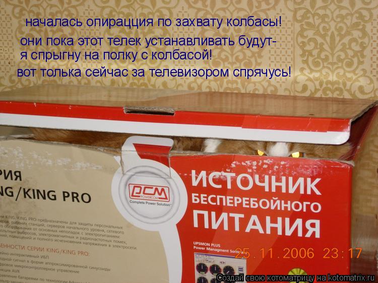 началась опирацция по захвату колбасы! они пока этот телек устанавливать будут- я спрыгну на полку с ... Котоматрица: началась опирацция по захвату колбасы! они пока этот телек устанавливать будут- я спрыгну на полку с колбасой! вот толька сейчас за телевиз