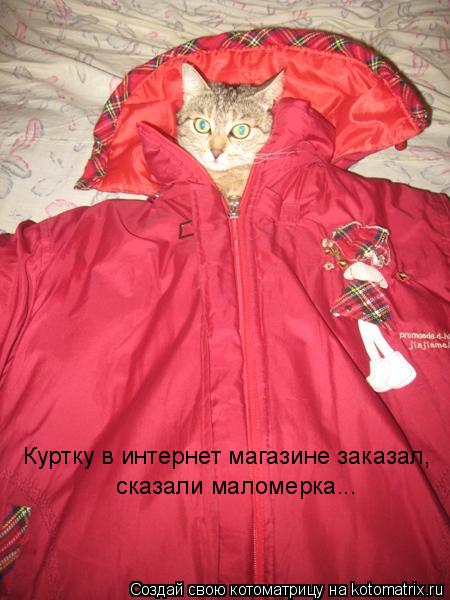 Котоматрица: Куртку в интернет магазине заказал, сказали маломерка...