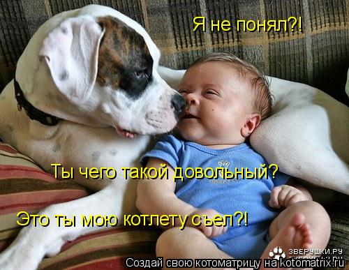 Я не понял?! Ты чего такой довольный? Это ты мою котлету съел?!... Котоматрица: Я не понял?! Ты чего такой довольный? Это ты мою котлету съел?!