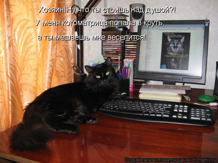Хозяин!Ну что ты стоишь над душой?! У меня котоматрица попала в круть, а ты мешаешь мне веселится!... Котоматрица: Хозяин!Ну что ты стоишь над душой?! У меня котоматрица попала в круть, а ты мешаешь мне веселится!