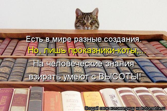 Есть в мире разные создания. Но, лишь проказники-коты,... На человеческие знания взирать умеют с ВЫСО... Котоматрица: Есть в мире разные создания. Но, лишь проказники-коты,... На человеческие знания взирать умеют с ВЫСОТЫ!