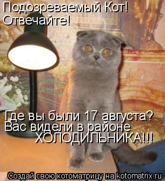 Котоматрица: Подозреваемый Кот!  Отвечайте! Где вы были 17 августа? Вас видели в районе ХОЛОДИЛЬНИКА!!!