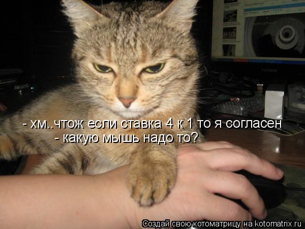 Котоматрица: - хм..чтож если ставка 4 к 1 то я согласен - какую мышь надо то?