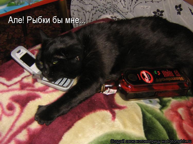 Але! Рыбки бы мне...... Котоматрица: Але! Рыбки бы мне...