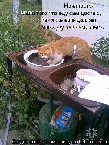Начинается, мало того что еду сам достаю, так я же еще должен и посуду за всеми мыть... Котоматрица: Начинается, мало того что еду сам достаю, так я же еще должен и посуду за всеми мыть
